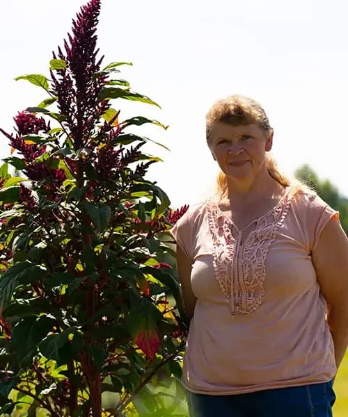 Lisa Haidorf · im Garten des Paradieses am Lusen