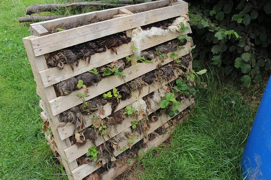 Alte Palette als vertikales bepflanztes Gartenbeet mit wiederverwendeten Materialien