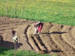 Lisa bei der Beetarbeit im Paradies am Lusen