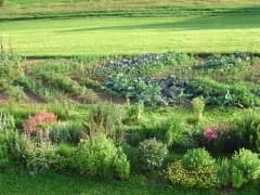 Historischer Blumen- und Gemüsegarten im Augenmuster auf dem Paradies am Lusen