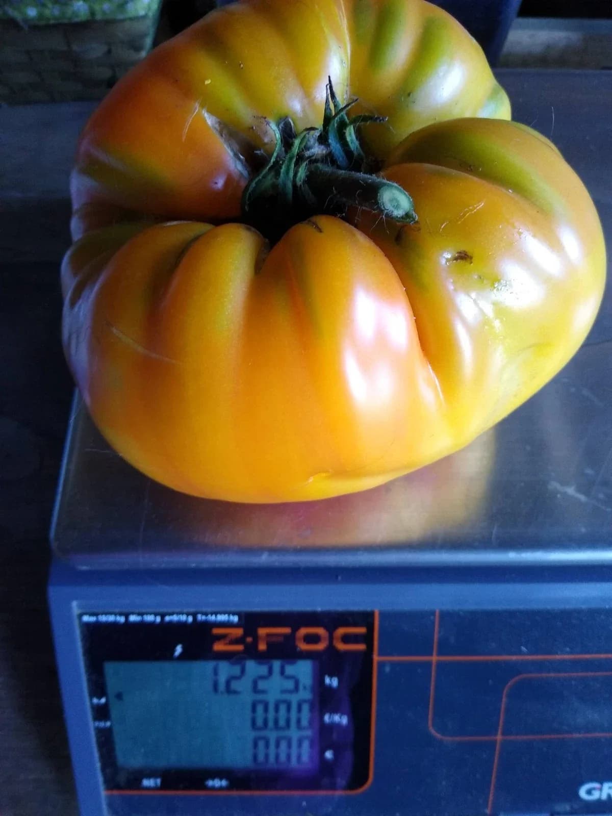 Ananastomate Samen aus unserem Naturgarten auf Last Farm