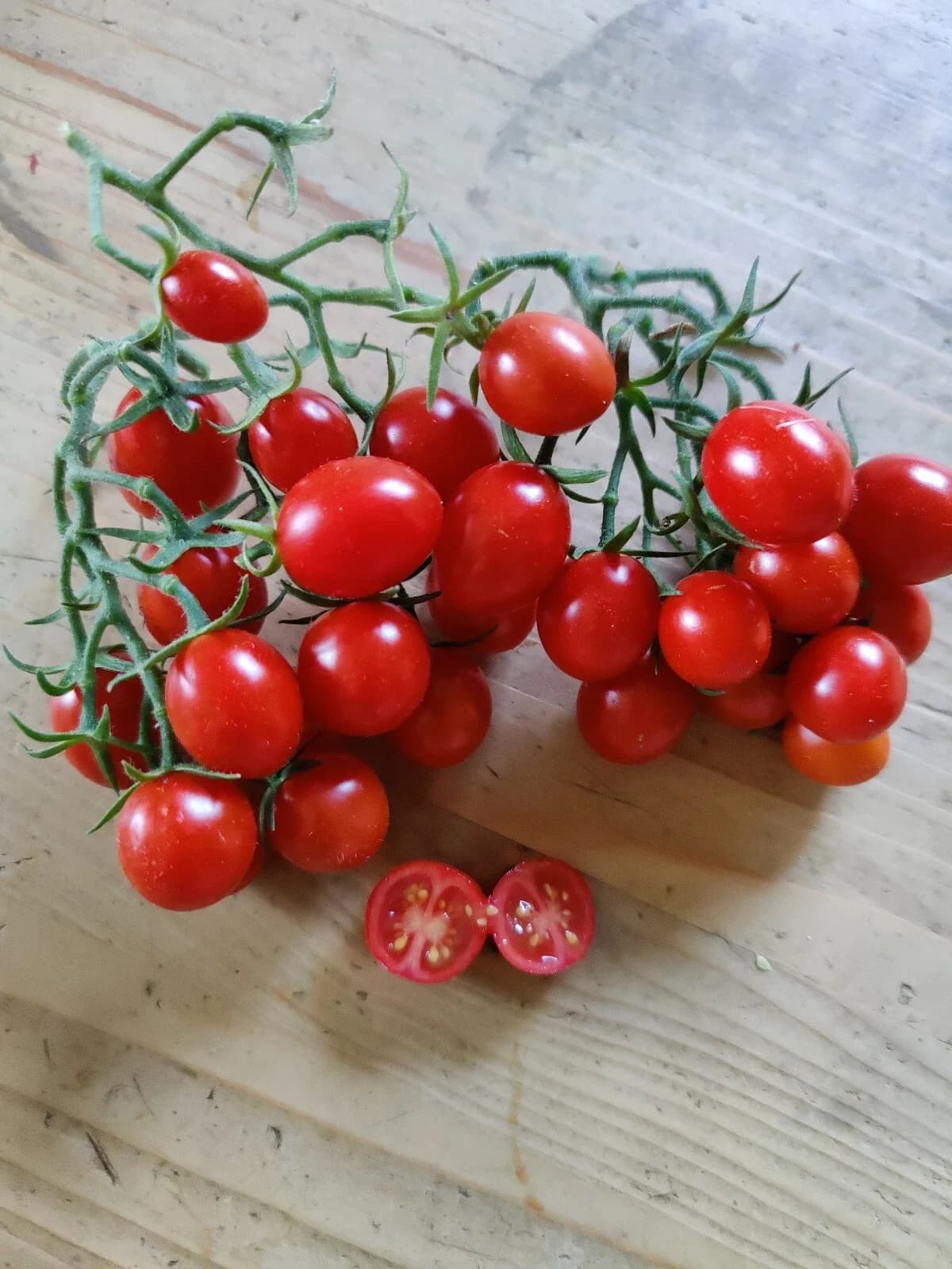 Cherry-Tomate "Rote Pflaume" Samen aus unserem Naturgarten auf Last Farm
