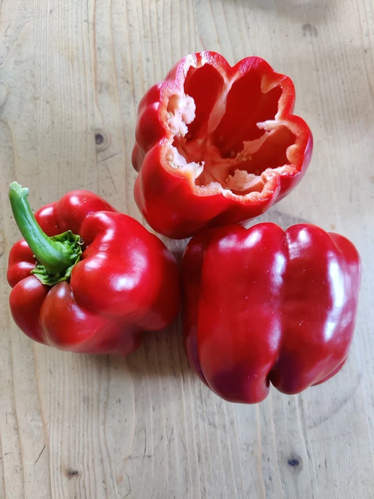 Blockpaprika „California Wonder“ Samen aus unserem Naturgarten auf Last Farm