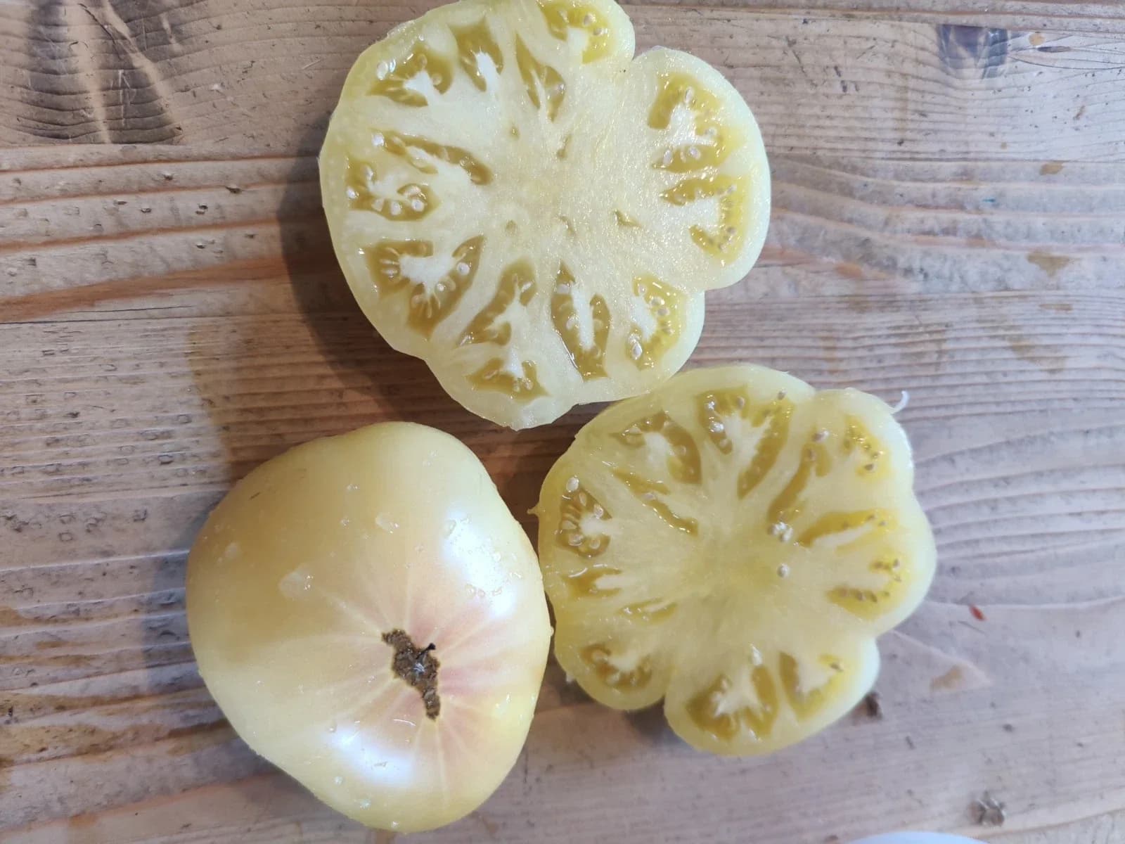 Fleischtomate „Shah Mikado White“ Samen aus unserem Naturgarten auf Last Farm