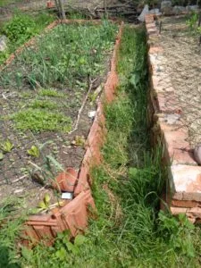 Schmaler Pfad zwischen dicht bepflanzten Gartenbereichen