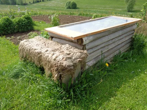 Alte Balkontür wird als transparente Abdeckung für ein Hochbeet verwendet
