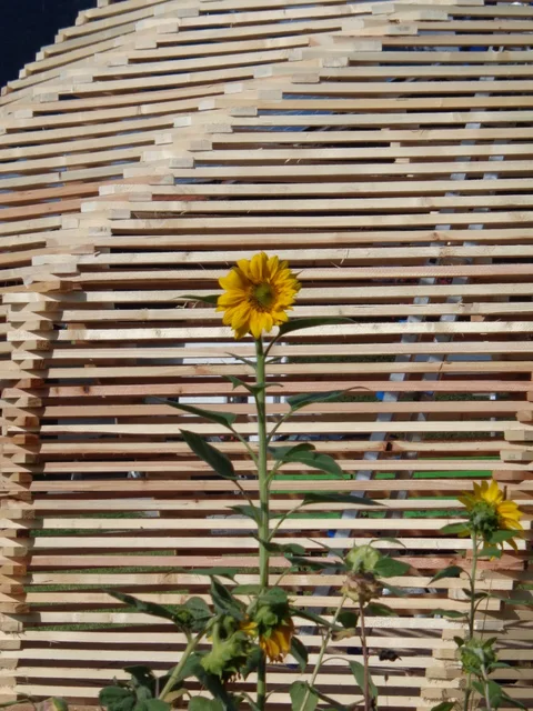 Großer Gartenpavillon aus Holz hinter Blumen