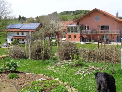 Benjeshecke als natürliche Begrenzung im Gemüsegarten