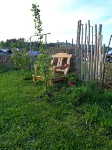 Benjeshecke in einer späteren Gartensaison neben einem Weg