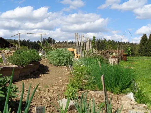 Gartenweg mit Kräuterspirale und eingewachsener Benjeshecke