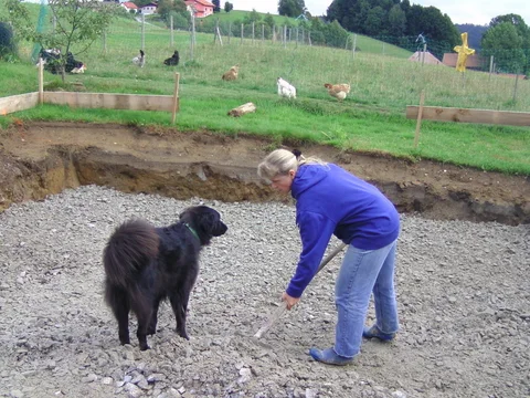 Schaufelarbeiten beim Bau des Hühnerstalls