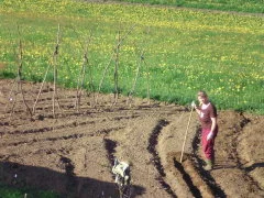 Gemüsefeld mit Lisa bei der Beetarbeit