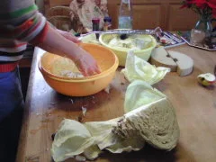 Fein geschnittener Weißkohl wird in einer Schüssel für Sauerkraut vorbereitet
