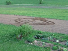Frisch abgesteckte Gartenfläche mit geschwungenen Linien
