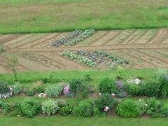 Blumen- und Gemüsebeete im Sommer