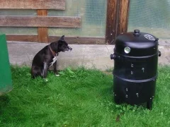 Cindy wartet neben dem kleinen Räucherofen im Gras
